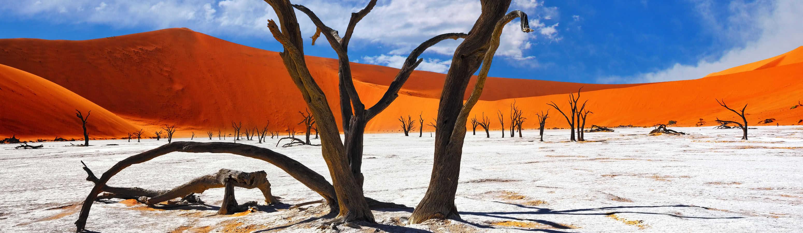 The most beautiful deserts in the world that you must see
