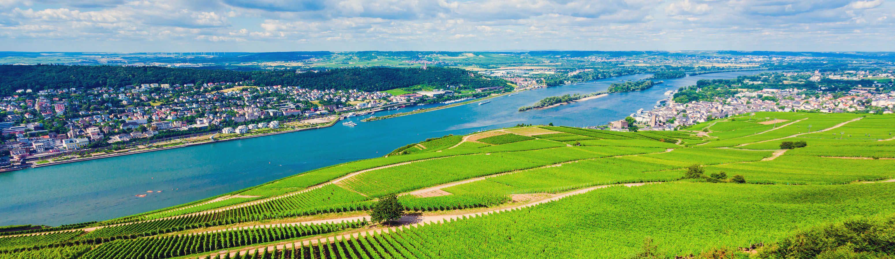 Rüdesheim adornment on the Rhine