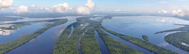 Amazonie – to je místo nekonečné zeleně, která není zdaleka lidmi prozkoumána. Toto místo ukrývá řadu živočichů a rostlin, které jsou doposud lidem neznámí. Můžete se zde setkat s domorodými kmeny nebo spatřit růžové delfíny.